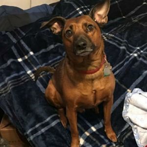 Meet your Posher, Lori